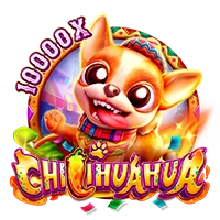 Facai : CHILIHUAHUA - ADUGAMING